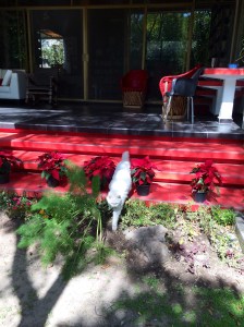 get-attachment-2.aspx